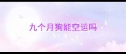 九个月狗能空运吗