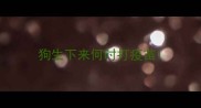 狗生下来何时打疫苗