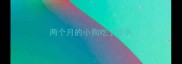 两个月的小狗吃了藿香