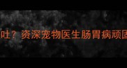 50天拉布拉多持续腹泻呕吐资深宠物医生肠胃病顽固型症状与系统治疗方案