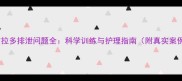 拉布拉多排泄问题全科学训练与护理指南附真实案例
