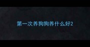 第一次养狗狗养什么好