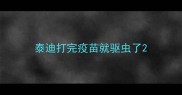 泰迪打完疫苗就驱虫了