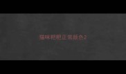 猫咪粑粑正常颜色