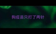 狗疫苗只打了两针