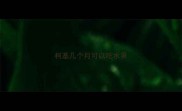 柯基几个月可以吃水果