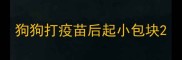 狗狗打疫苗后起小包块