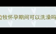 边牧怀孕期间可以洗澡吗