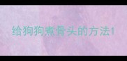 给狗狗煮骨头的方法