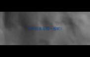 拉布拉多品相一般的
