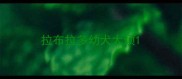 拉布拉多幼犬太烦