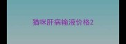 猫咪肝病输液价格