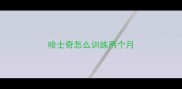 哈士奇怎么训练两个月