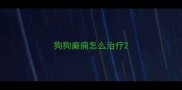 狗狗癫痫怎么治疗