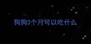 狗狗3个月可以吃什么