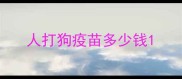 人打狗疫苗多少钱