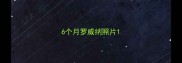 6个月罗威纳照片