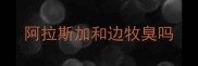 阿拉斯加和边牧臭吗