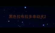 黑色拉布拉多串幼犬