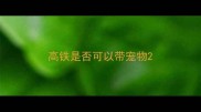高铁是否可以带宠物