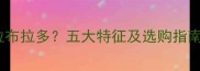 如何挑选高品质拉布拉多五大特征及选购指南附养护建议