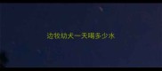 边牧幼犬一天喝多少水