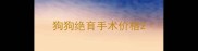 狗狗绝育手术价格