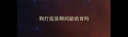 狗打疫苗期间能绝育吗