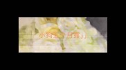 小狗五个月露jj