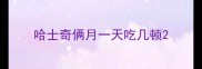 哈士奇俩月一天吃几顿