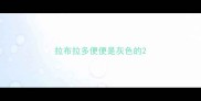 拉布拉多便便是灰色的