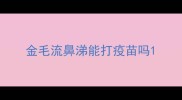 金毛流鼻涕能打疫苗吗