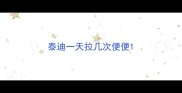 泰迪一天拉几次便便