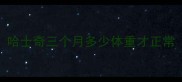 哈士奇三个月多少体重才正常