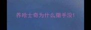 养哈士奇为什么撒手没