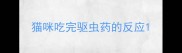 猫咪吃完驱虫药的反应