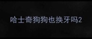 哈士奇狗狗也换牙吗