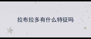 拉布拉多有什么特征吗