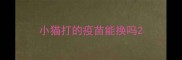小猫打的疫苗能换吗