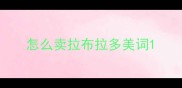 怎么卖拉布拉多美词