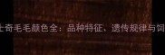 纯种哈士奇毛毛颜色全品种特征遗传规律与饲养指南