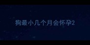 狗最小几个月会怀孕