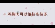 鸡胸肉可以给拉布拉多