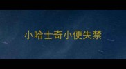 小哈士奇小便失禁