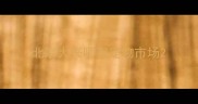 北京大兴哪有宠物市场