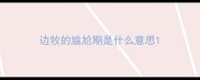 边牧的尴尬期是什么意思