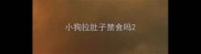 小狗拉肚子禁食吗