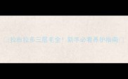 拉布拉多三层毛全新手必看养护指南