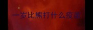 一岁比熊打什么疫苗