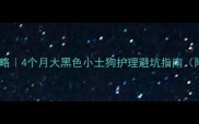 比特犬幼犬饲养全攻略4个月大黑色小土狗护理避坑指南附疫苗饮食训练秘籍